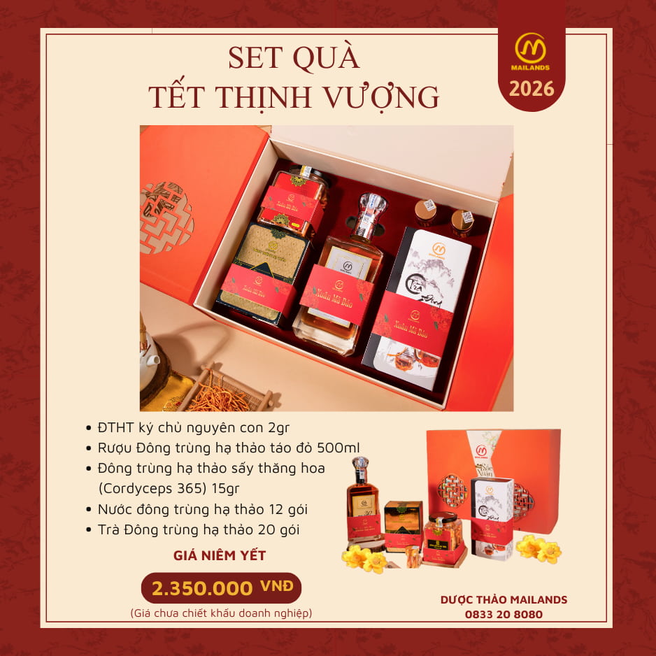 Bộ ảnh tết set quà đông trùng hạ thảo cho doanh nghiệp 2025 Bộ ảnh tết set quà đông trùng hạ thảo cho doanh nghiệp 2025