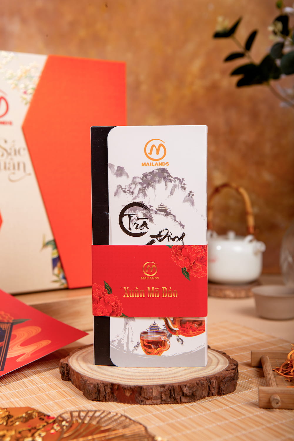 Hộp trà đông trùng hạ thảo túi lọc